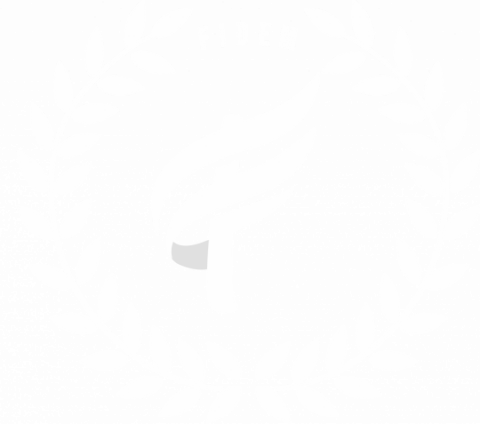 Fidem
